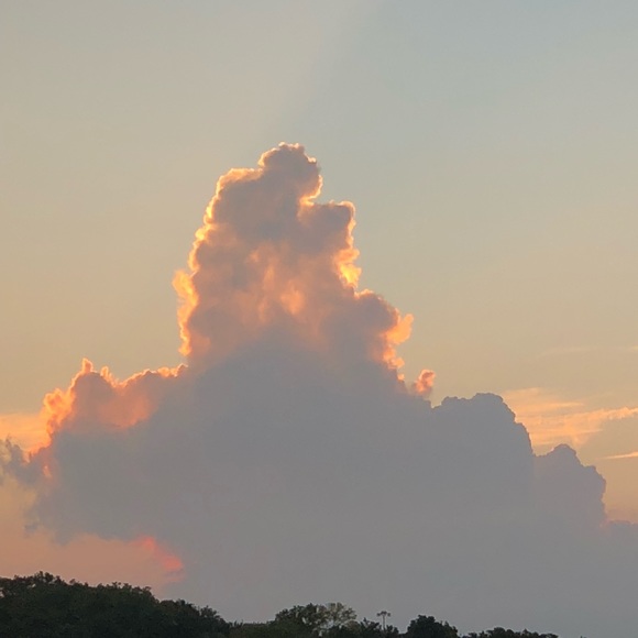 Meet your Posher, Don - Picture 1 of 1